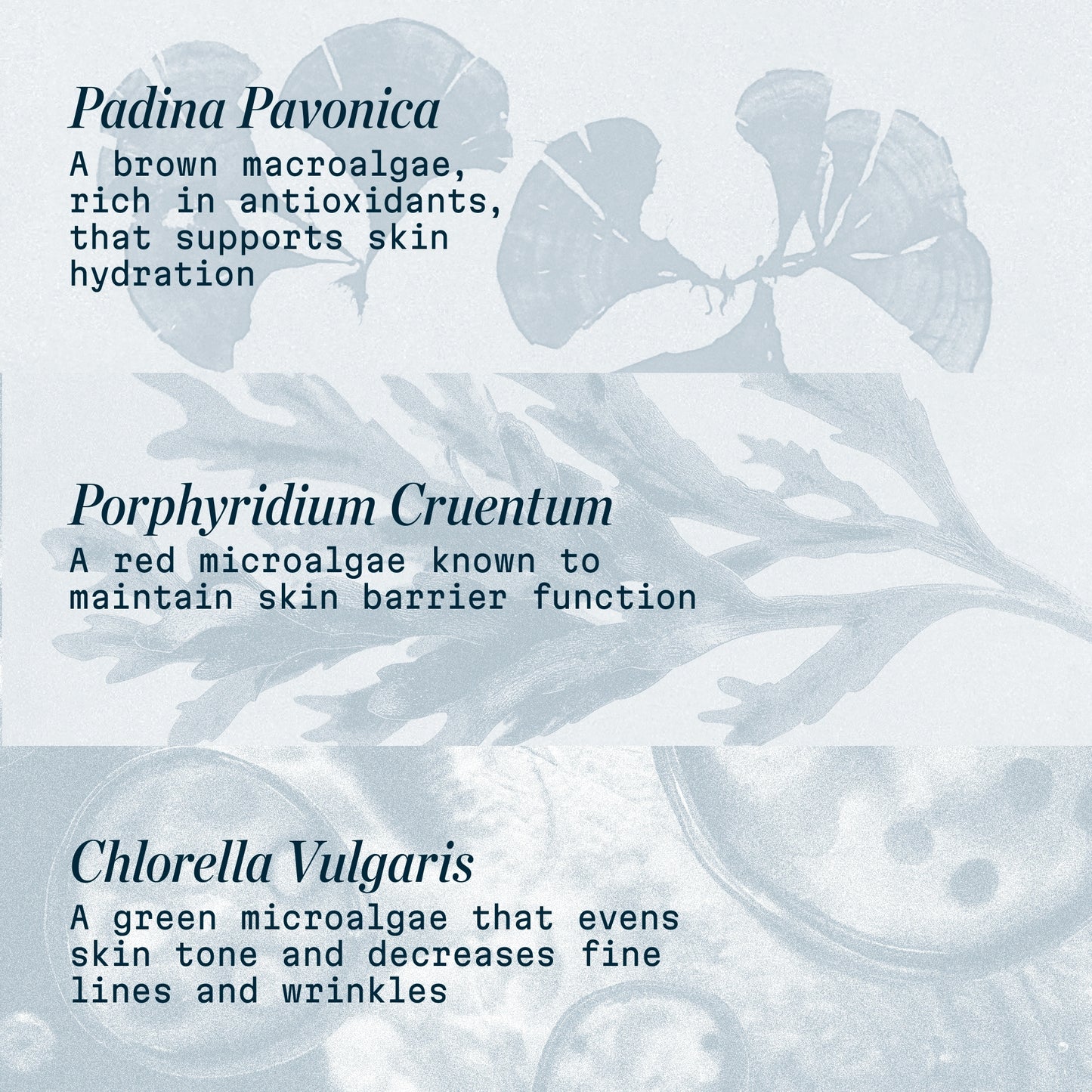 PRO-COLLAGEN MARINE CREAM SPF 3O